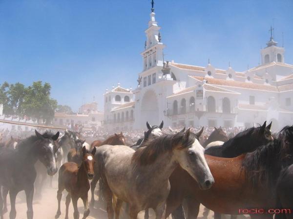 El Rocío Casa Rural Donana 51 מראה חיצוני תמונה